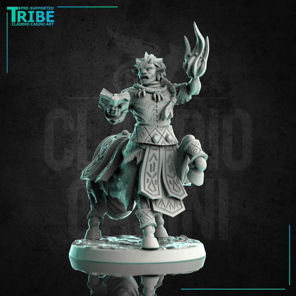 (0239) Male centaur summoner wizard with a magic book and spell